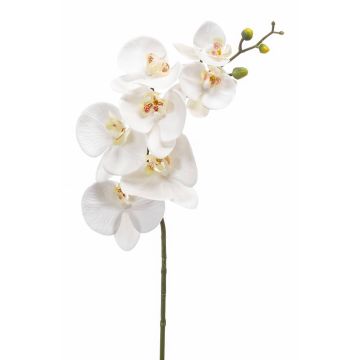 Decorative Phalaenopsis orchid branch NEITH, white, 33"/85cm