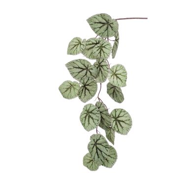 Decorative begonia rex branch MEIRA, green-grey, 4ft/110cm