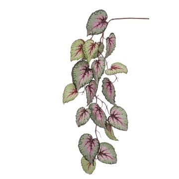 Decorative begonia rex branch MEIRA, green-pink, 4ft/110cm