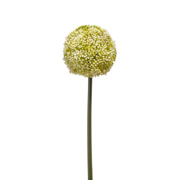 Artificial Allium BOUTROS, white-green, 30"/75cm
