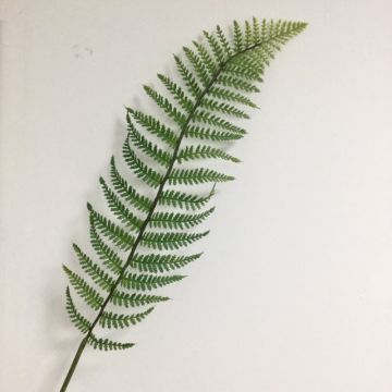 Decorative Boston fern leaf CODY, green, 3ft/100cm