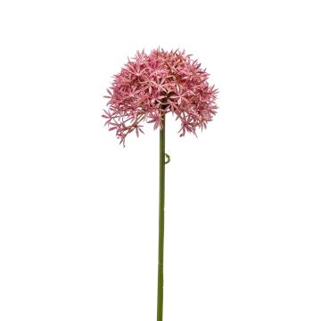 Artificial Allium flower ARNAU, pink, 24"/60cm