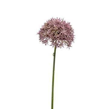 Artificial Allium flower ARNAU, light pink, 24"/60cm