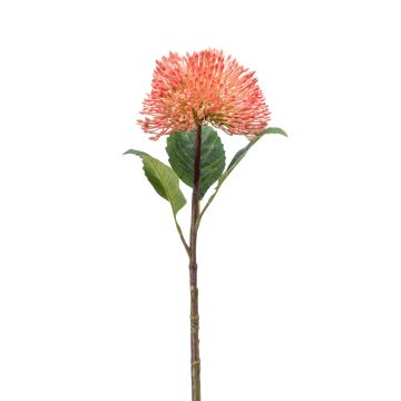 Artificial Sedum flower JICAMA, pink, 18"/45cm