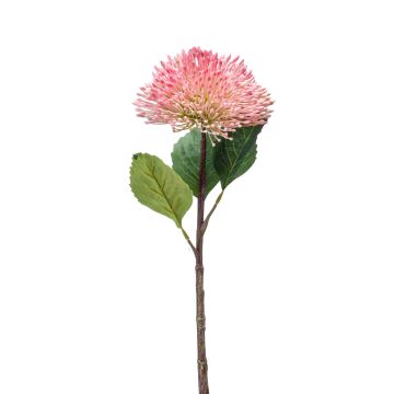 Artificial Sedum flower JICAMA, pink-white, 18"/45cm