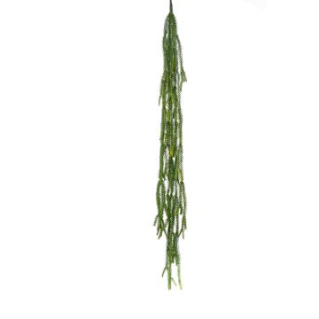 Decorative leaf cactus BORNEO, spike, green, 4ft/120cm