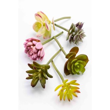 Plastic succulents JADON, spike, 6 pieces, colourful, 5"/13cm, Ø 2"/5cm