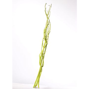 Mitsumata twigs GERY, 3 pieces, light green, 3ft/105cm