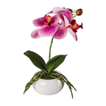 Artificial Phalaenopsis orchid KASDA, ceramic bowl, roots, fuchsia, 11"/27cm