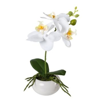 Artificial Phalaenopsis orchid KASDA, ceramic bowl, roots, white, 11"/27cm