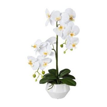 Artificial Phalaenopsis orchid KASDA, ceramic pot, roots, white, 20"/50cm