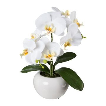 Artificial Phalaenopsis orchid KASDA, ceramic pot, white, 14"/35cm