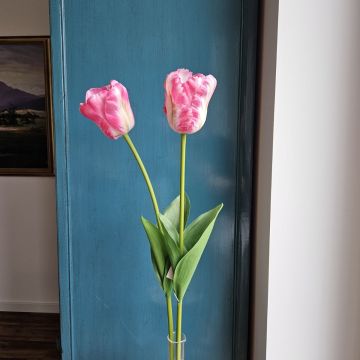Fake flower Tulip PJASSINA, dark pink-cream, 26"/65cm