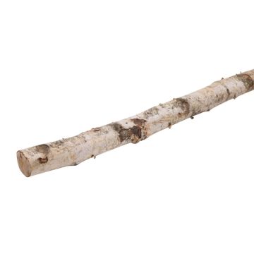 Natural decoration Birch trunk CALAM, natural, 5ft/150cm, Ø1.6"/4cm Natural decoration Birch trunk CALAM, natural, 5ft/150cm, Ø1.6"/4cm