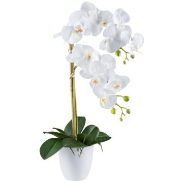 Artificial Phalaenopsis orchid BLENTOR in melamine planter, roots, white, 22"/55cm