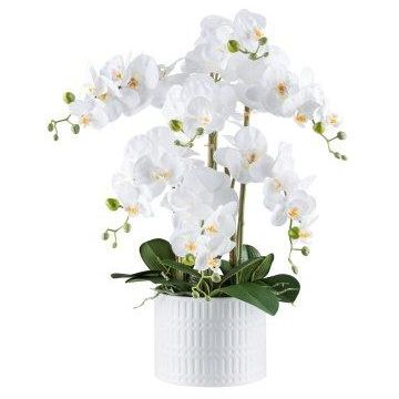 Artificial Phalaenopsis orchid TOUNI, ceramic pot, roots, white, 24"/60cm