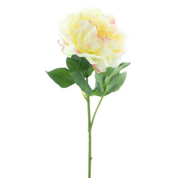 Artificial peony flower CORDOBA, light yellow, 22"/55cm