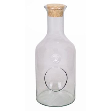 Terrarium bottle made of glass DRACO with cork, clear, 14"/35cm, Ø6"/15cm