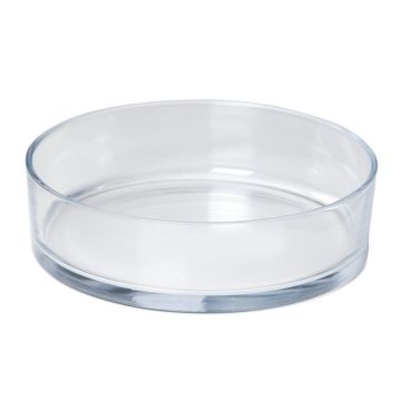 Glass fruit bowl VERA OCEAN , transparent, 3.1"/8 cm, Ø 12"/29 cm