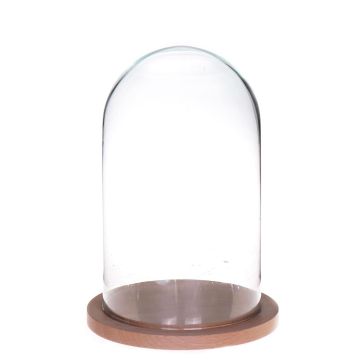 Glass bell HELVIN with wooden base, clear, 10"/25cm, Ø5.5"/14cm