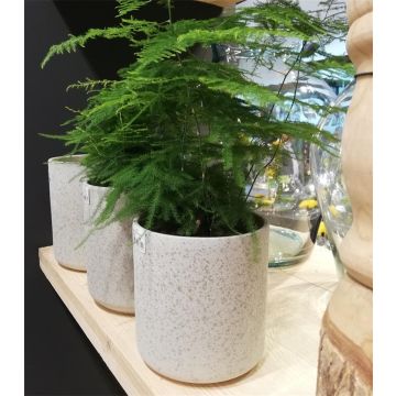 Ceramic flower pot ARAYA, speckled, beige, 5"/13cm, Ø5"/13cm
