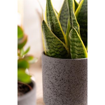 Ceramic flower pot ARAYA, speckled, black, 6"/15cm, Ø6"/15cm