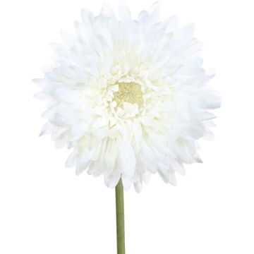 Decorative flower Gerbera MOLZA, white, 24"/60cm