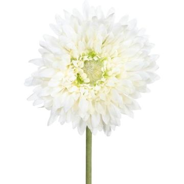 Decorative flower Gerbera MOLZA, cream, 24"/60cm