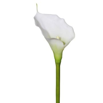 Artificial calla GOLMA, white, 28"/70cm