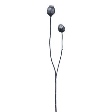 Artificial branch Poppy capsules ORIONLA, dark blue, 26"/65cm