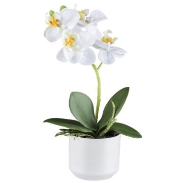 False Phalaenopsis orchid WERKAN, ceramic pot, roots, white, 11"/27cm