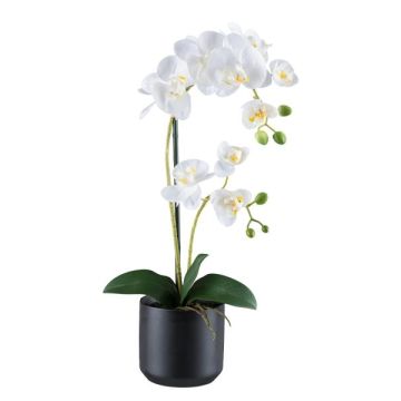 False Phalaenopsis orchid MAYAK, ceramic pot, roots, white, 20"/50cm