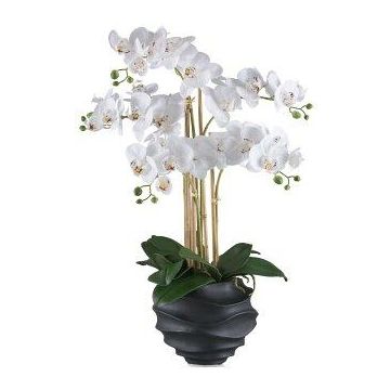False Phalaenopsis orchid STONFER, black decorative pot, roots, white, 28"/70cm