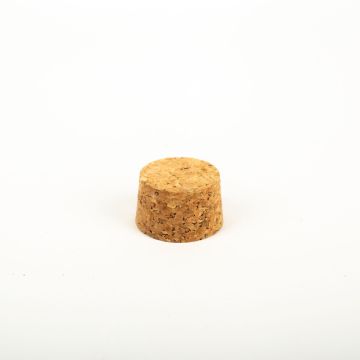 Pointed cork stopper SERILDA made of agglomerated cork, natural, 1"/2,5cm, Ø1.5"/3,8/1.7"/4,2cm Pointed cork stopper SERILDA made of agglomerated cork, natural, 1"/2,5cm, Ø1.5"/3,8/1.7"/4,2cm