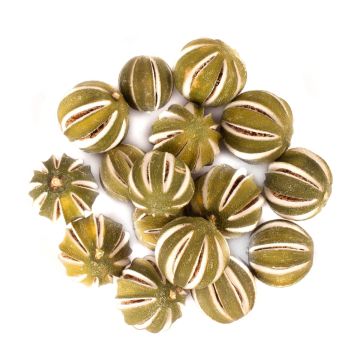 Decorative dried fruit Limes SIEGLINDE, incised, green, Ø1.6"-2"/4-5cm, 250g