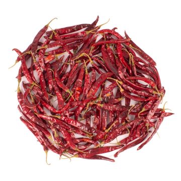 Decorative dried fruit longish chillies RÜDIGER, red, 3.1"-4.7"/8-12cm, 200g