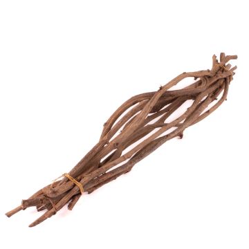 Bundle of vine wood ROSHAN, dried, 10 pieces, natural, 26"/65cm
