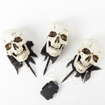 Halloween luminous skull JERVIS with earth spike, LEDs, 3 pieces, 30cm