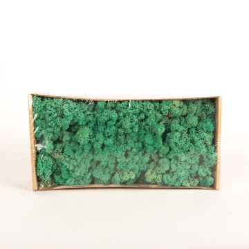 Icelandic natural moss SVEINBJÖRN, turquoise green, 500g