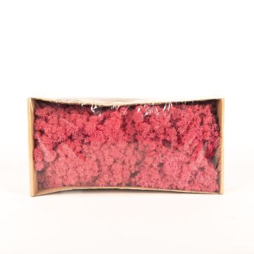 Icelandic natural moss SVEINBJÖRN, watermelon pink, 500g Icelandic natural moss SVEINBJÖRN, watermelon pink, 500g