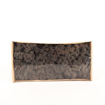 Icelandic natural moss SVEINBJÖRN, anthracite, 500g