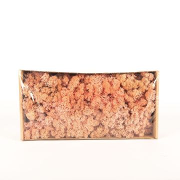 Icelandic natural moss SVEINBJÖRN, pink, 500g Icelandic natural moss SVEINBJÖRN, pink, 500g