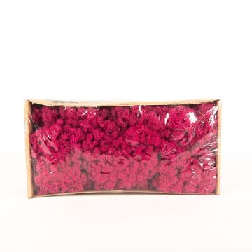 Icelandic natural moss SVEINBJÖRN, magenta, 500g Icelandic natural moss SVEINBJÖRN, magenta, 500g