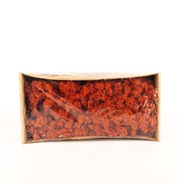 Icelandic natural moss SVEINBJÖRN, sienna, 500g