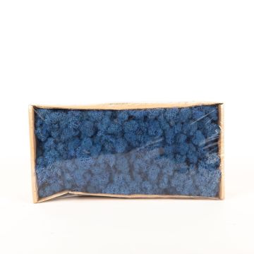 Icelandic natural moss SVEINBJÖRN, royal blue, 500g