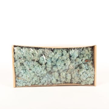 Icelandic natural moss SVEINBJÖRN, ice blue, 500g