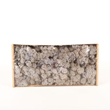 Icelandic natural moss SVEINBJÖRN, lavender, 500g
