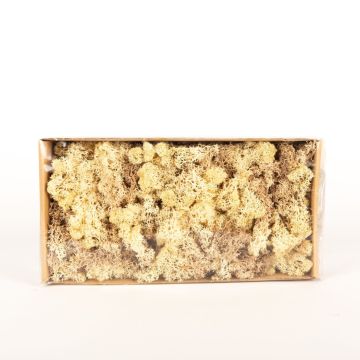 Icelandic natural moss SVEINBJÖRN, sepia-beige, 500g