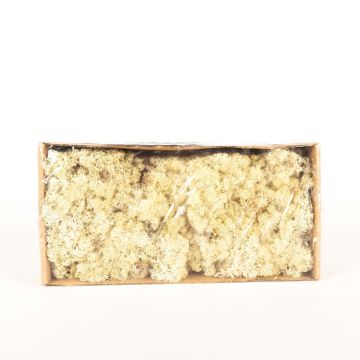 Icelandic natural moss SVEINBJÖRN, ivory, 500g Icelandic natural moss SVEINBJÖRN, ivory, 500g