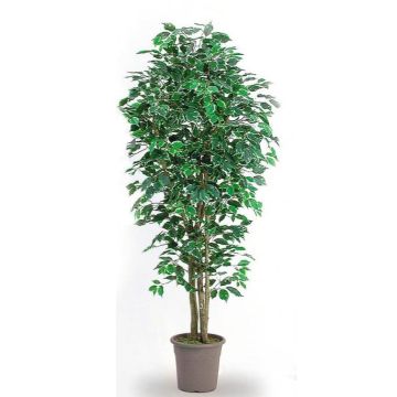 Artificial Ficus Benjamina LEONORET, real stems, green-white, 4ft/125cm - Made in Italy